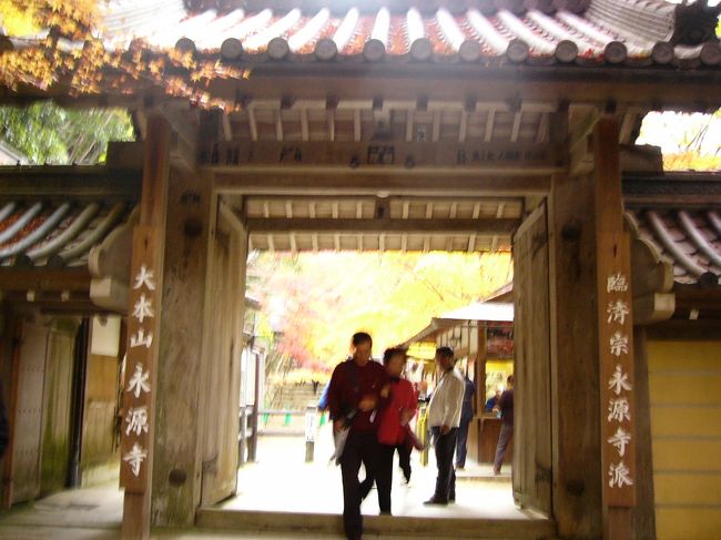 続いて4番目は，永源寺です。湖東三山とセットで訪れるツアーが多いみたいですね。ここは正門？です。