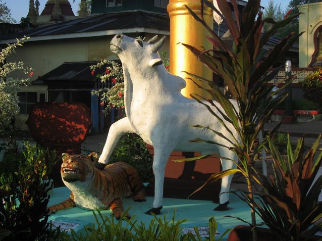 早朝のセットーヤ・パゴダ。<br />仏像を見上げる牛さんの誇らしげな表情に一目ぼれ。