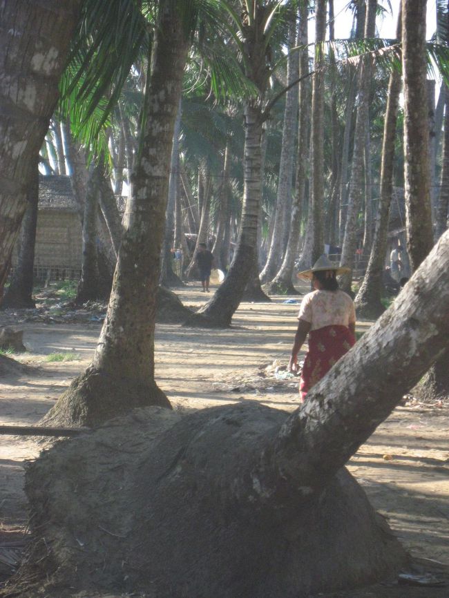 椰子の木の生い茂る村を越えて…