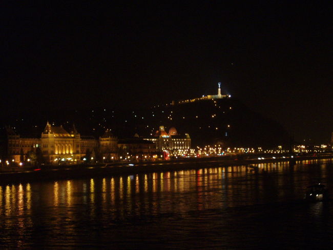 憧れのドナウ川。