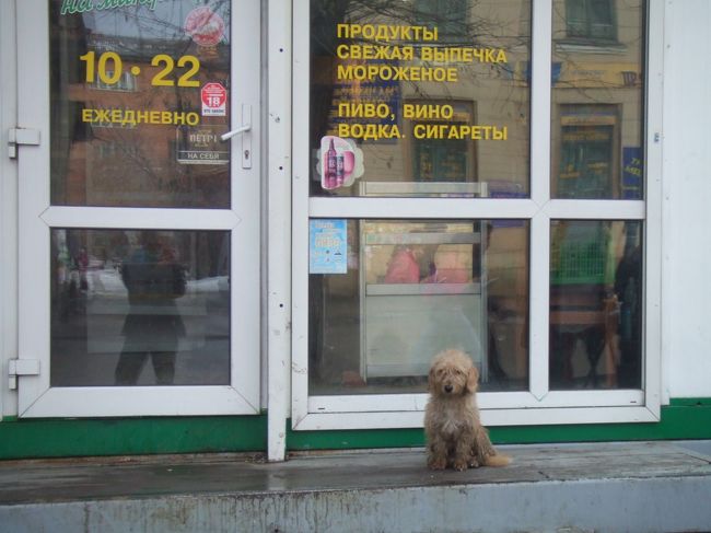 街角にはたくさんの犬がちょこんと。<br />左端に良からぬものが写ってますが･･･