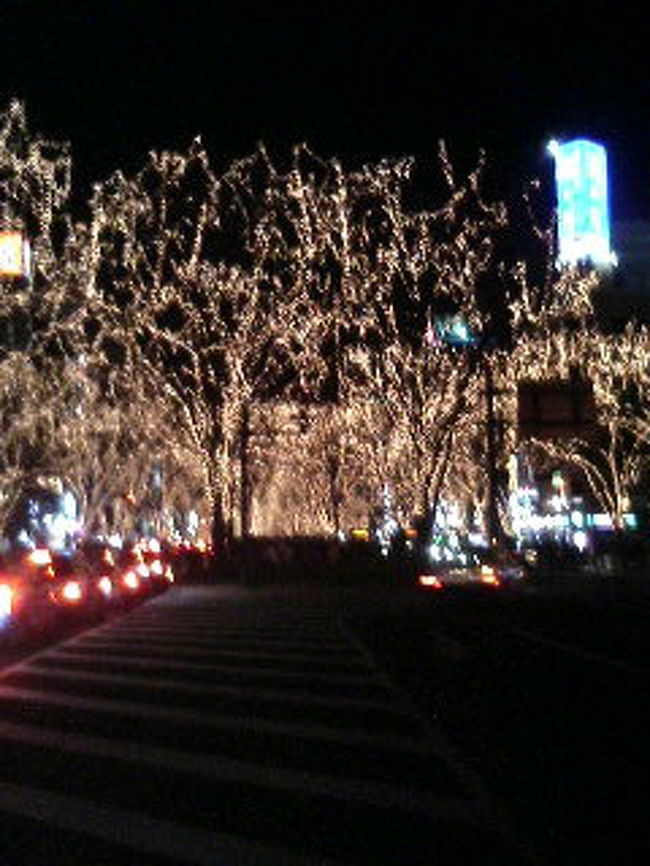 光のページェントメイン通り