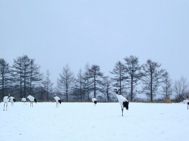 雨が幸いし、ここには私たちだけ！<br />こちらも貸切です。