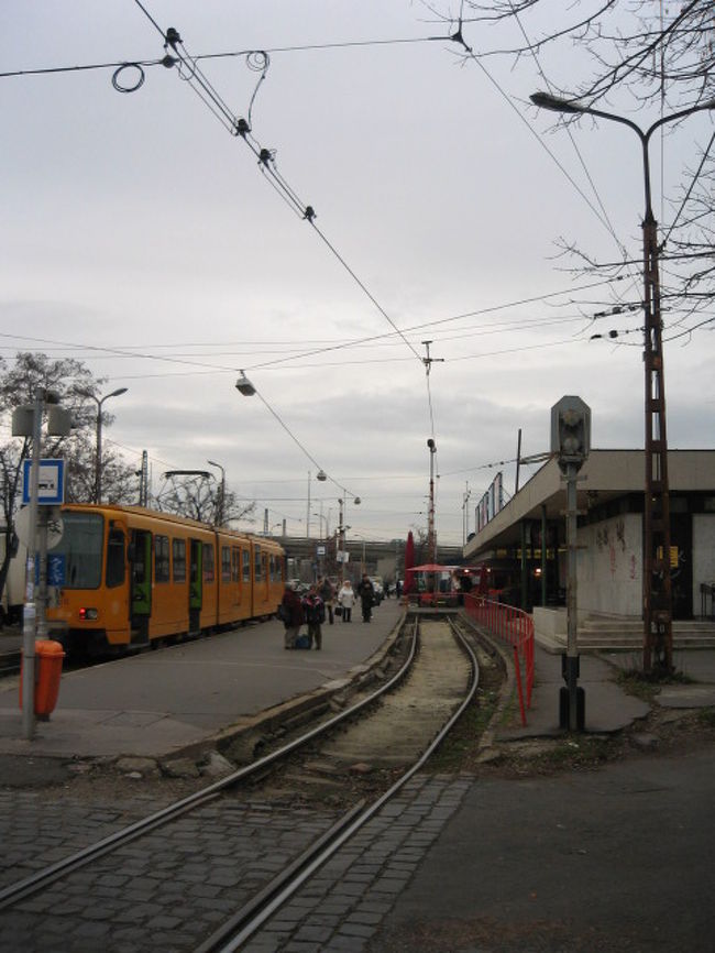 朝から迷ってる最中。<br /><br />ここはどこだ。