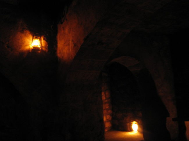 「王宮地下迷宮」内部。<br />カブトムシ臭い。