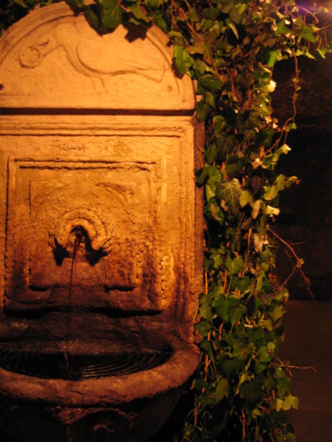 「王宮地下迷宮」内部には、<br />「ワインの泉」なんてものも。<br /><br />出ているのはホントにワイン。<br />