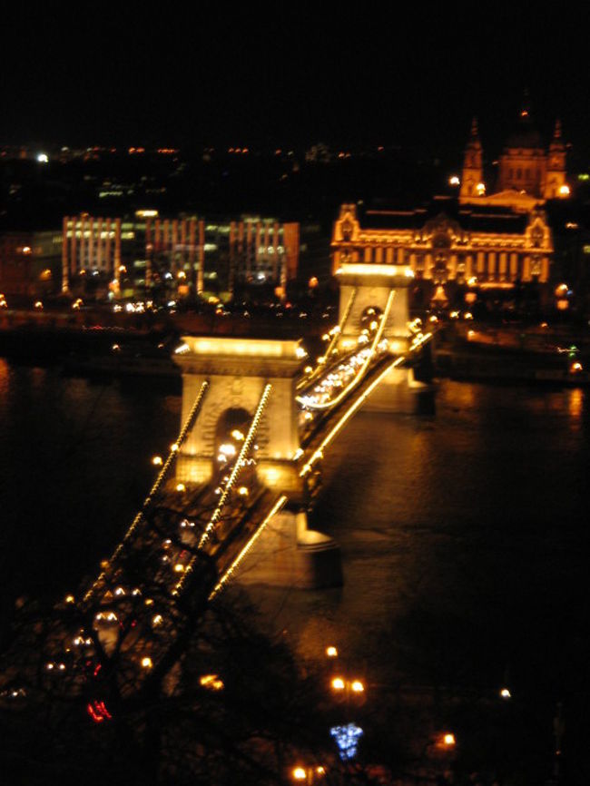 ケーブルカーの終点駅から見た<br />ブダペストの夜景２。
