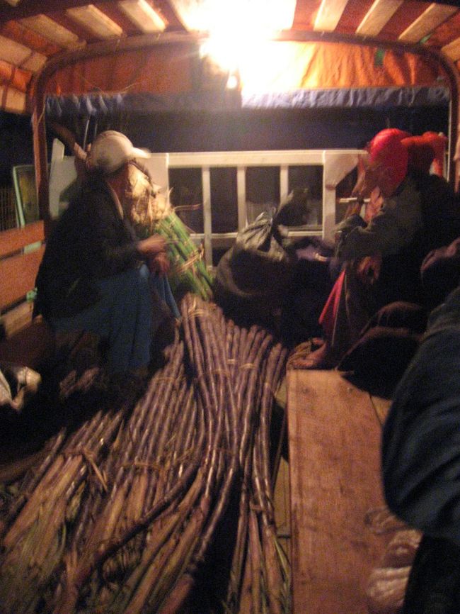 でもやっぱりサトウキビ。