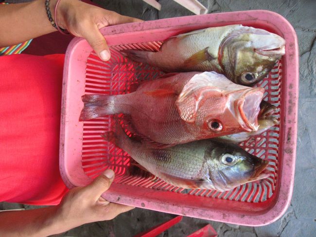 新鮮なシーフードもおまかせ。<br /><br />だけどすぐにカレーとフライに姿を変えてしまうので、<br />他のものが食べたいときは前もって予約を。