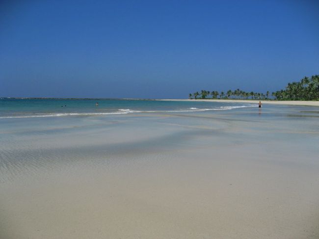 泣きたくなるほど美しい。