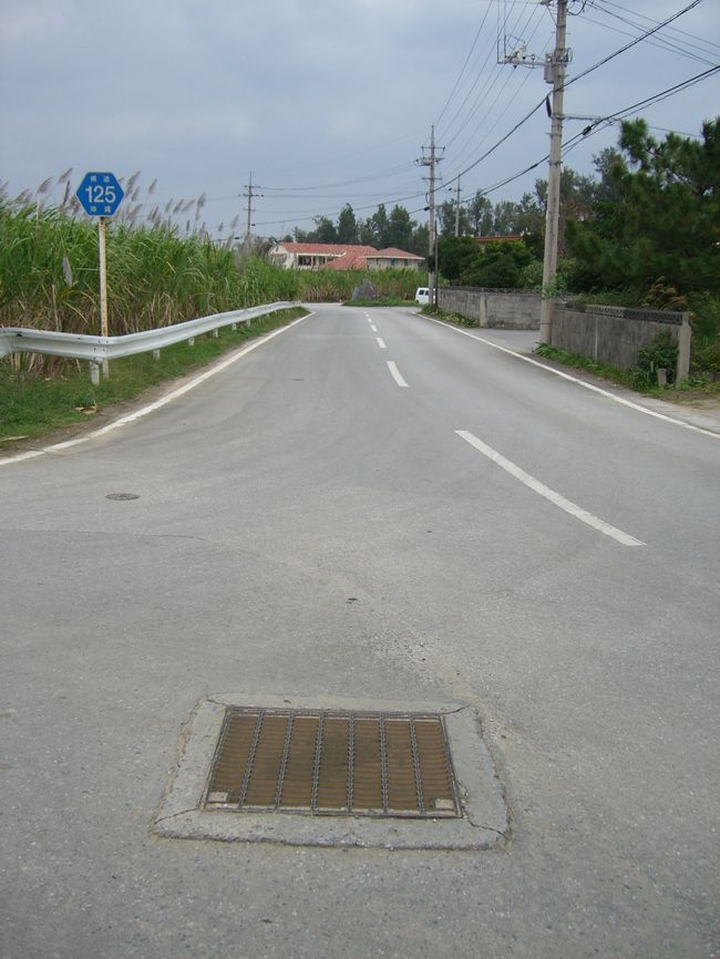 目指すは古宇利島。<br />道路脇はサトウキビ畑が延々。<br />