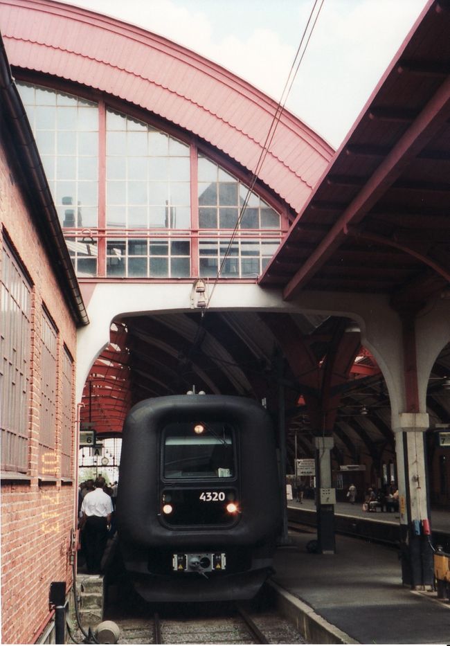 列車でコペンハーゲンの空港へ戻り，日本へ帰国