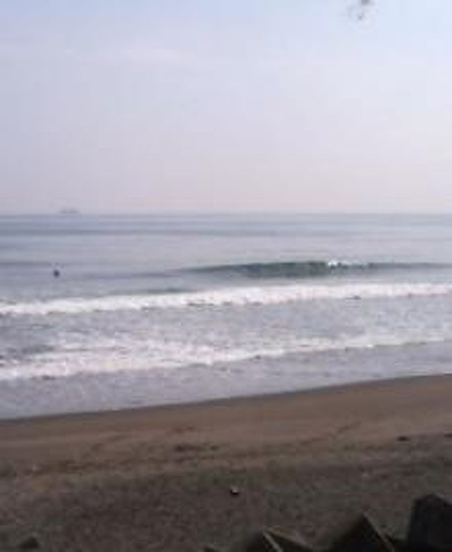 ひまわりのタネ 宮崎 青島 日南 宮崎県 の旅行記 ブログ By フーテンの若さんさん フォートラベル ひまわりのタネ 宮崎 青島 日南 宮崎県 の旅行記 ブログ By フーテンの若さんさん フォートラベル