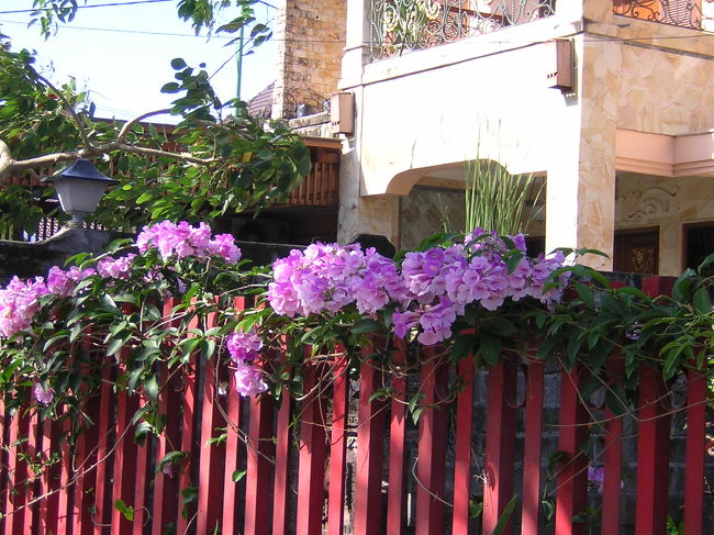 綺麗な家が歯医者さんの自宅です。