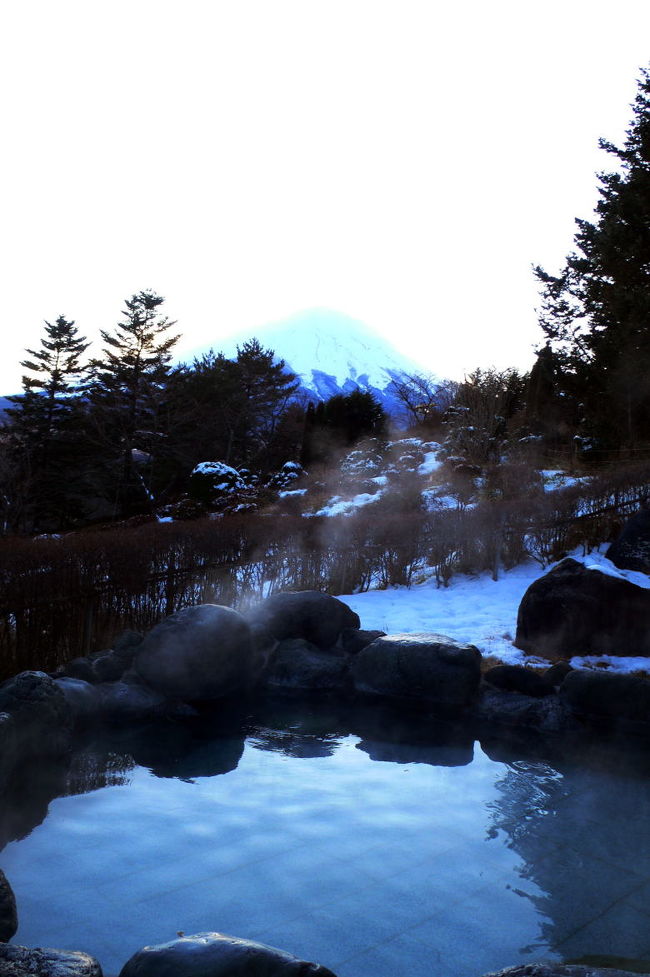 富士山が見えます
