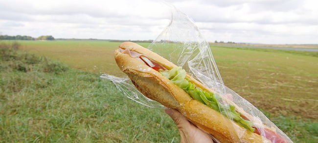 とりあえず、スイス方面へ車を走らせる。<br />途中、行き当たりばったりに、<br />小さな村に立ち寄ろう。<br /><br />その前にちょっとお腹がすいたので、<br />道ばたに車を停めてサンドをかじる。