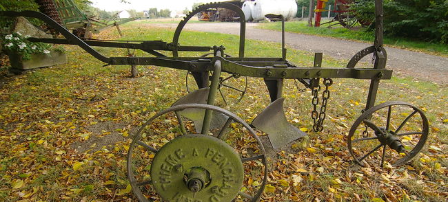 コレは何かな？