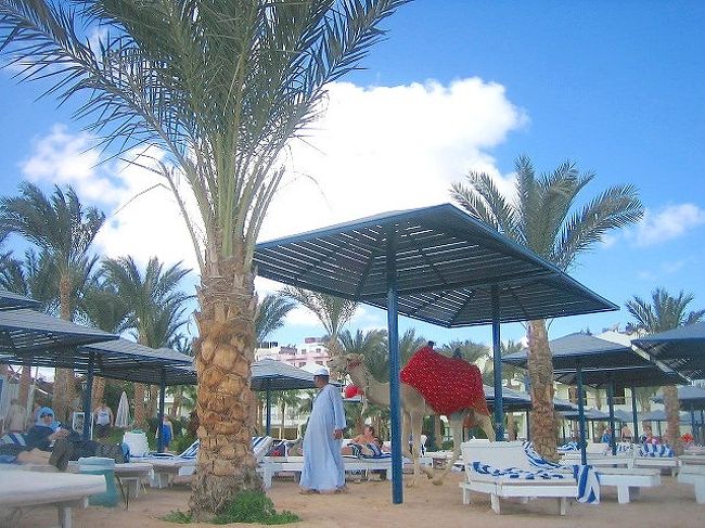 ホテルのプライベートビーチには、何故だかラクダが。。。<br /><br />勿論お金を払ってラクダに乗れると言う、ビジネス。