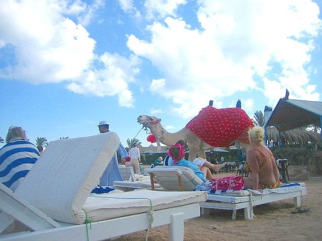 『写真は有料だよ！』と、感じ悪くいうこの男性。<br /><br />プン！それなら隠し撮りだわ！と思って撮った写真。<br />後で見たらお肉ムチムチのおばちゃまのセクシーショット！<br />ラクダの隠し撮りのつもりが、思わぬセクシー隠し撮りになりました・笑