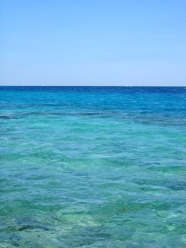 紅海。<br /><br />水の、透き通って綺麗な事！<br />ダイバーやサーファーたちのお気に入りの土地。<br /><br />私たちは今回はマリンスポーツはしなかったのですが、次回は是非ダイビングをしたいと思っています♪