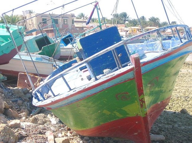 よく見ると、顔まで描いてある・笑