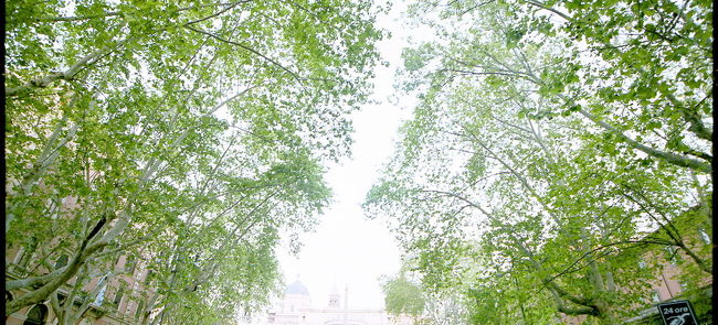 さわやかです。