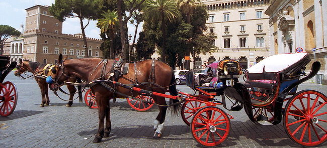 荷物を置いて、街歩き再開。