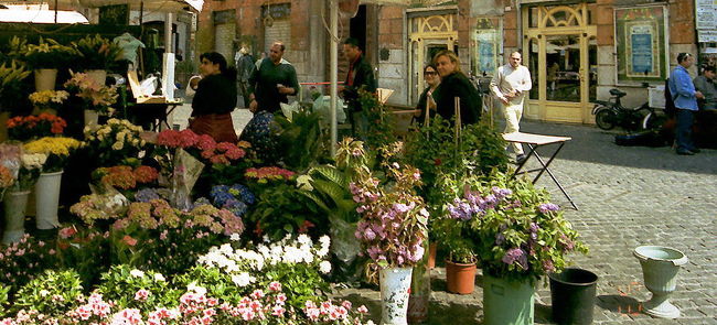 ちょっと市場を冷やかしてみよう。<br />こちらは花屋サン。