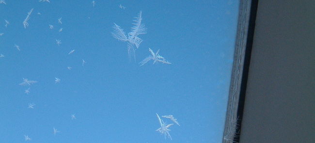 窓に張り付く霜の造形がおもしろい