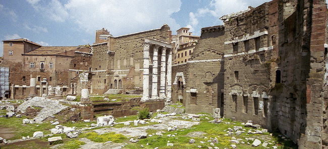 まだまだ続きます