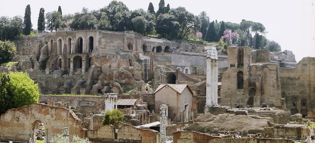 フォロ・ロマーノの全容。<br />うしろの丘は、パラティーノの丘 