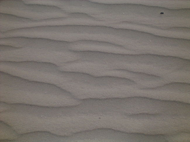 スター・ウォーズのロケ地から更にランクルを走らせ、ちょっと小高い砂漠に登りました。<br />ラクダ岩まで登るのは、固い地面だったけれど、今度は砂丘のような、本当にサラサラの砂だらけのところを登るので時間がかかる〜。<br />