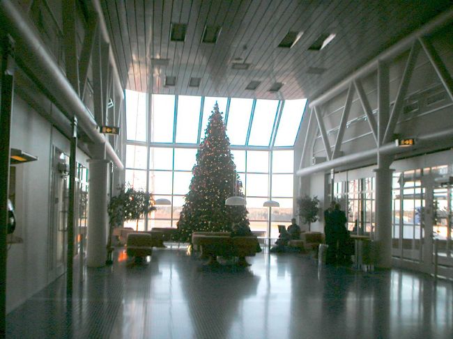 ストックホルム空港。１月だけど、まだツリーが飾ってあった。