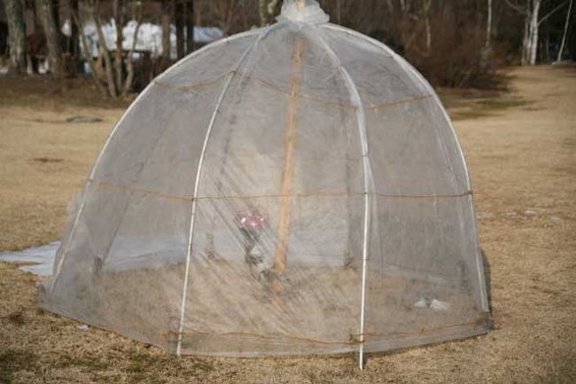 夜になるとこの中にあかりが点灯されライトアップするそうです。