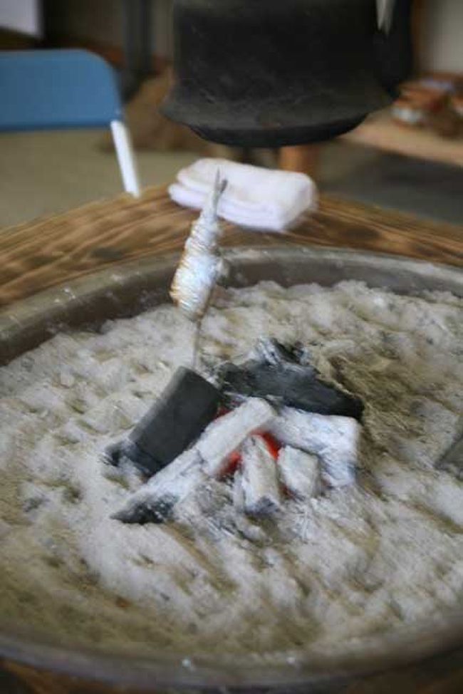 ヒメマスにピントがあっていない。(笑)