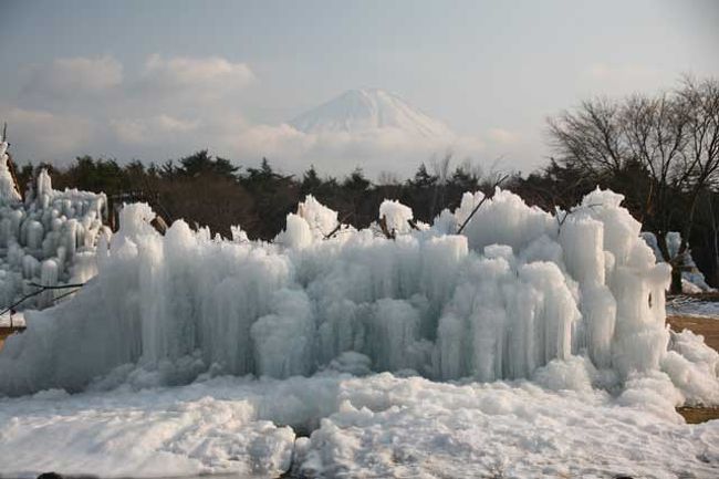 富士山が見えてきました。