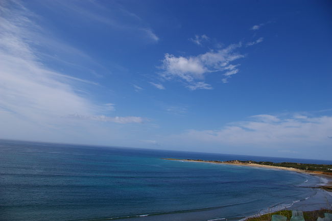 次の日はGreat Ocean Roadのツアーに参加。<br /><br />英語のツアーを前日申し込みをして何とか参加。朝7時に大型バスにてCityを出発。大半の参加者は白人、特にドイツからの人が多かった。ここは6年前にもきたものの、今まで見た大自然の風景の中でもお気に入りの場所で、2度見る価値は十分あり。