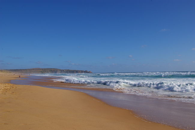フィリップ島の海岸線<br />この近くの海岸線に夕方ペンギンの群れが集団で上陸し、子供がまつ巣にもどっていくとのこと。結構波は荒波。