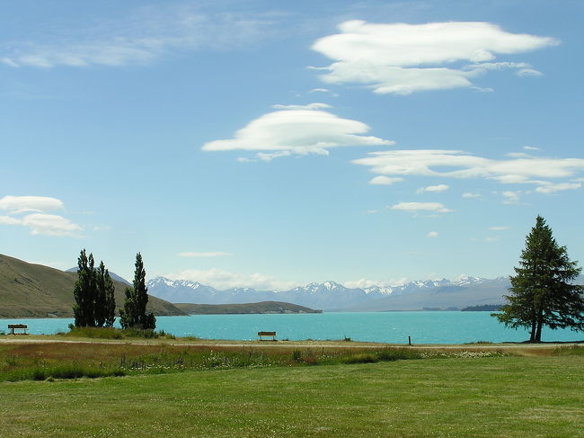 マウントクックを出て、次の停車場所はテカポ湖。ここで休憩。<br />地球の歩き方などのガイドブックで大きく掲載されるような湖で、心地よい風、青空、コバルトブルーの湖、そして緑、心あらわれます。本当に自分の目を疑うような色でした。
