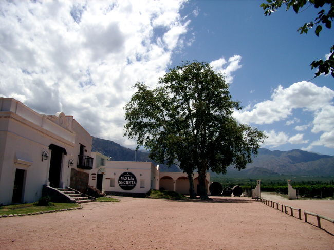 帰り道はワイン博物館に立ち寄って、昔のワイン作りのお勉強。とにかく日差しが強いけど建物の中はひんやりしていて気持ちいい。<br />外にはぶどう畑、内には樽が並んでいて、ワインも販売していますが、現在は博物館として使われているだけ。