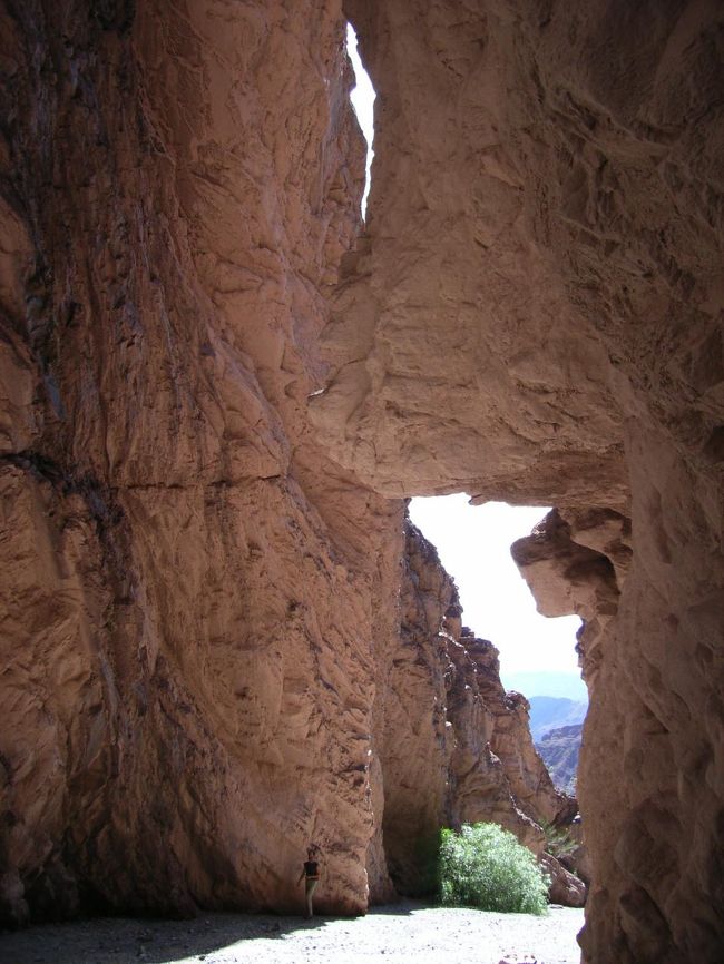 中に入ってみるとこんな感じ。とにかく大きいし、離れて見れないから写真は撮りにくいです。<br />ここからはおしゃべりしながらサルタへと帰っていくだけ。<br />とにかく雄大な景色とワインが好きな人にはお勧めのツアーです。