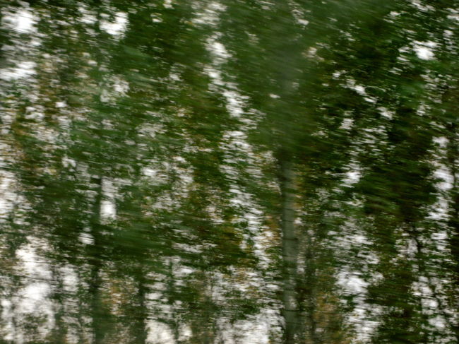 ケチケメートに向かう列車の車窓から<br /><br />さらに横ブレしてしまいましたが、列車のスピードを感じさせる前衛的な絵画のようで、これはこれで気に入りました@