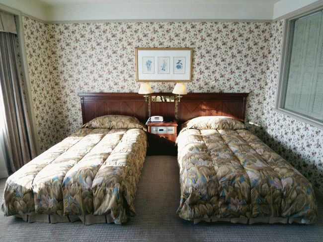 程よい大きさのベッドです