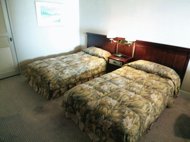 こちらも程よい大きさのベッドです