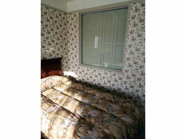 マスターベッドルームに向こう側から閉じられた窓が