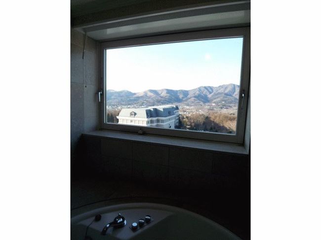 角部屋のためバスルームにも窓があります 