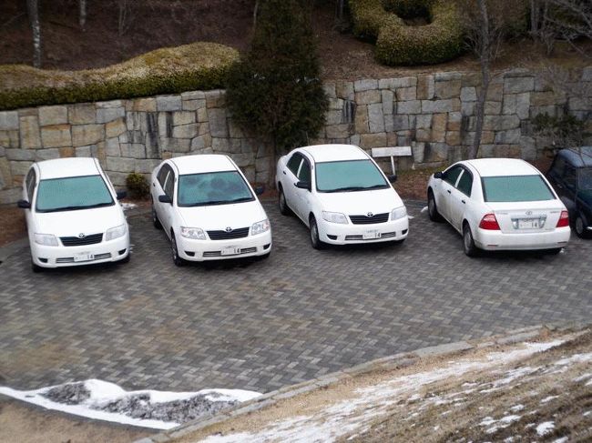 ＸＩＶ　ナンバー１４の車が並んでいました