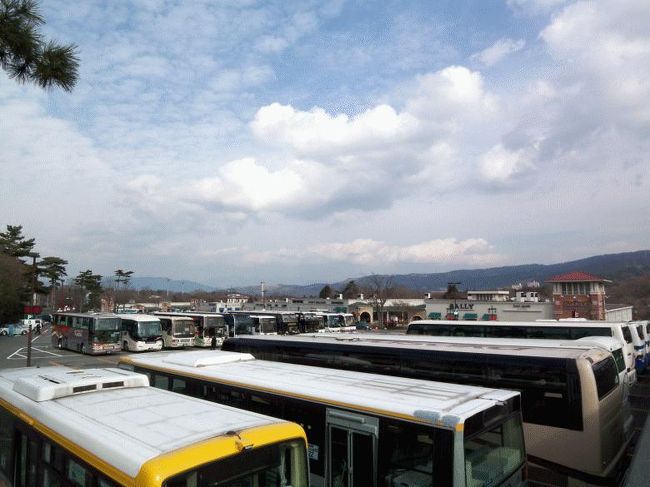 冬のプレミアム・バーゲン開催中で沢山の観光バスが並んでいました