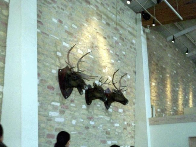 壁のトナカイさんが３０分毎に歌います