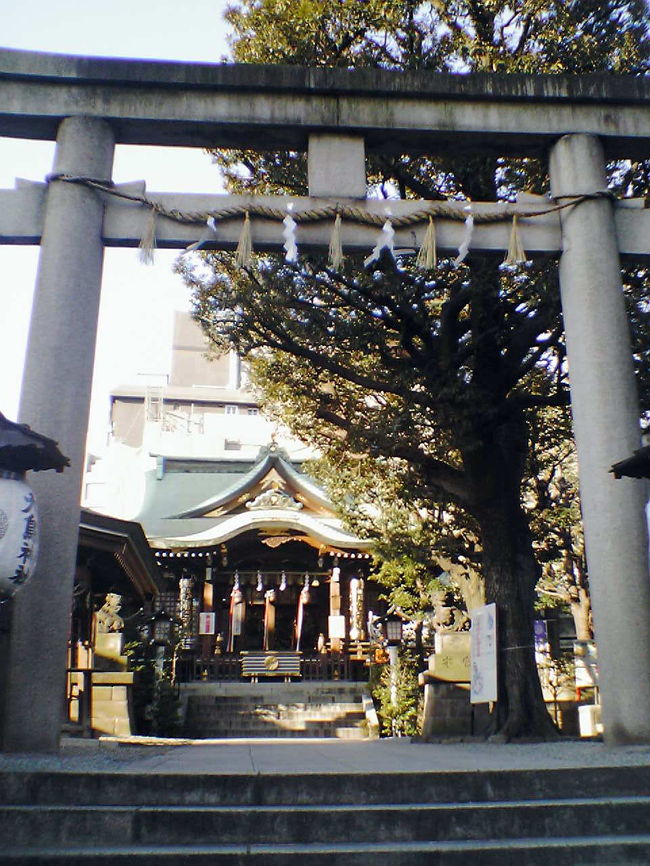 目黒の大鳥神社。<br />自分がお宮参りした場所。<br />目黒通りを通るときは、必ず寄ります。